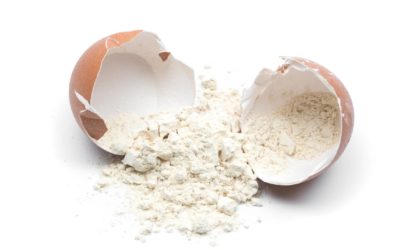 Why We Need Protein