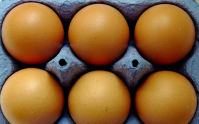 Eggs and Salmonella