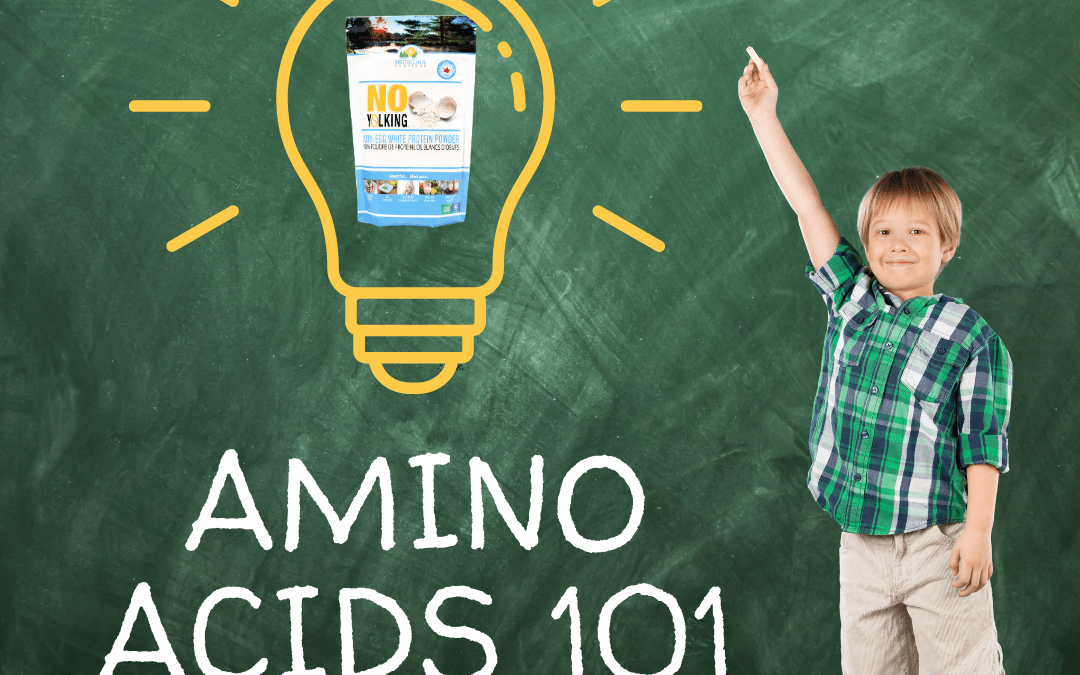 Amino Acids 101