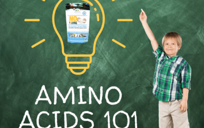 Amino Acids: The Body’s Building Blocks