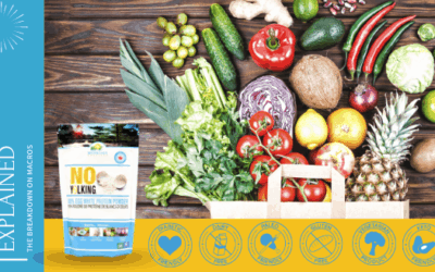 Protein for Every Lifestyle