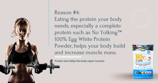 A graphic descripting why to eat more protein