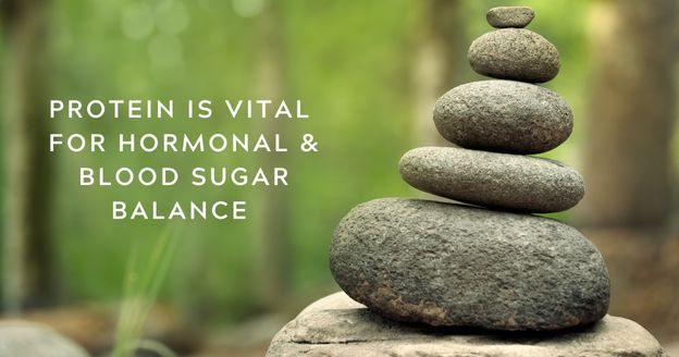 protein is vital for hormonal & blood sugar balance