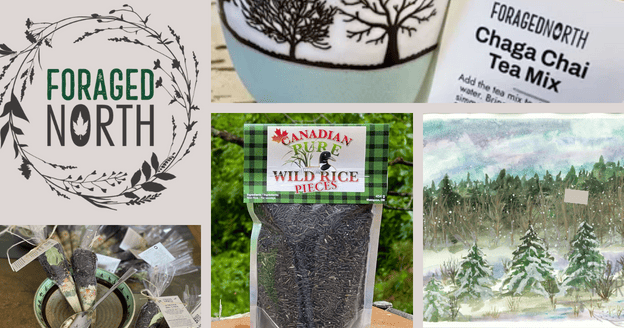 A collage of photos from Foraged North