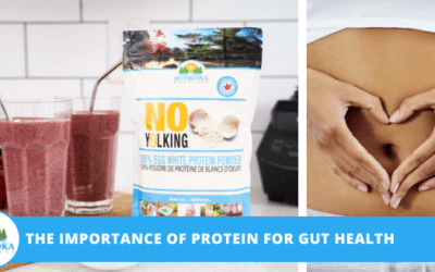 The Importance of Protein for Gut Health