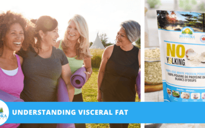 Understanding Visceral Fat