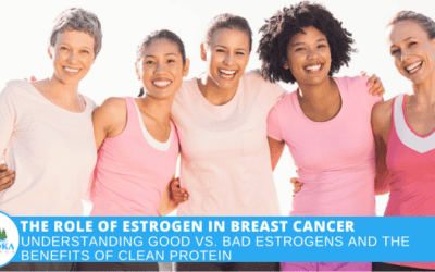 The Role of Estrogen in Breast Cancer